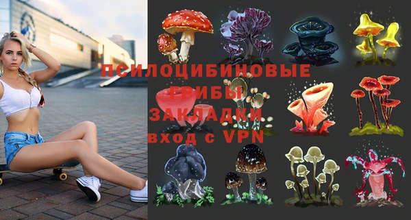 гашик Алзамай