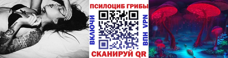 это какой сайт  Менделеевск  Псилоцибиновые грибы Cubensis 