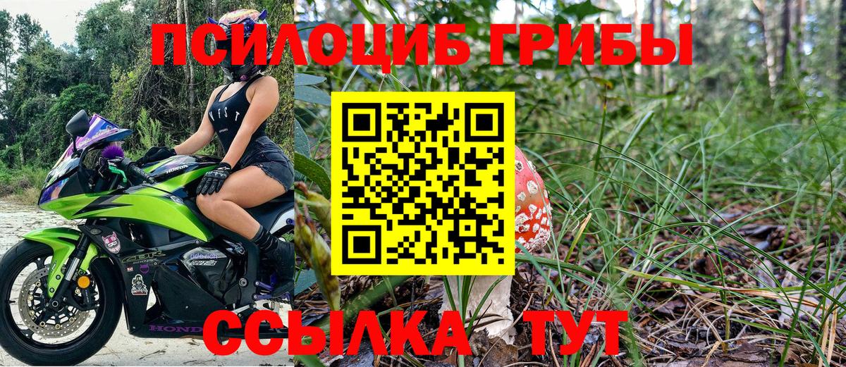 Псилоцибиновые грибы GOLDEN TEACHER Менделеевск