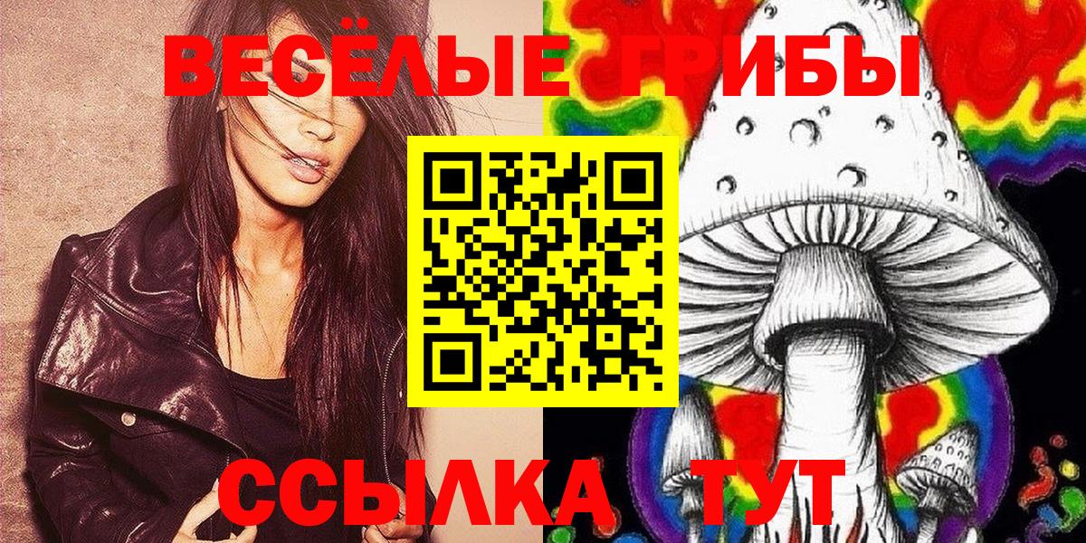 Менделеевск  наркота  Галлюциногенные грибы Psilocybe  Вход с VPN  Псилоцибиновые грибы GOLDEN TEACHER 
