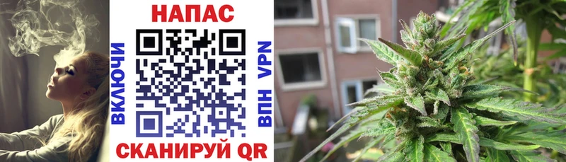 Каннабис OG Kush Менделеевск